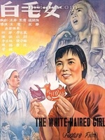 弗拉格定会在未来五年内超越东契奇